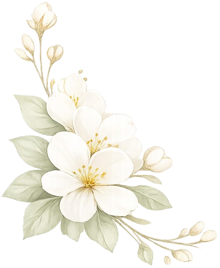 Blume-Links